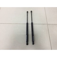 Амортизатор капота Lada Lada Largus 2012> 0984880230N, 99999903333300