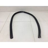 Уплотнитель (Наружный) Renault Renault Sandero 2009-2014 8200733152