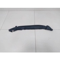 Пыльник (кузов наружные) Volkswagen Volkswagen Taos 2020> 2GL821111