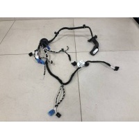 Проводка двери Volkswagen Volkswagen Tiguan 2017> 5NB971162DR