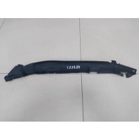 Пыльник (кузов наружные) Volkswagen Volkswagen Taos 2020> 2GL821112
