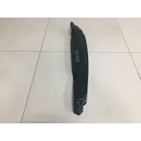 Пыльник (кузов наружные) Hyundai Hyundai Equus 2009-2016 841423N000