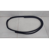Уплотнитель двери Ford Ford Fusion (JU) 2002-2012 1426714