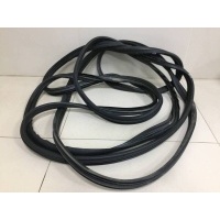 Уплотнитель проема двери передней правой Renault Renault Megane (2) 2002-2009 8200077500