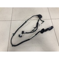 Проводка двери Volkswagen Volkswagen Taos 2020> 2GJ971693E