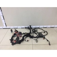 Проводка (коса) Nissan Nissan Terrano (D10) 2014> 240118238R