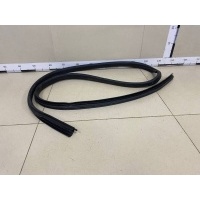 Уплотнитель проема двери задней правой Nissan Nissan Terrano (D10) 2014> 8283000Q0B
