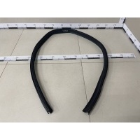 Уплотнитель (Наружный) Renault Renault Sandero 2009-2014 8200733152