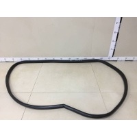 Уплотнитель проема двери задней правой Toyota Toyota Corolla E180 2013> 6233102280