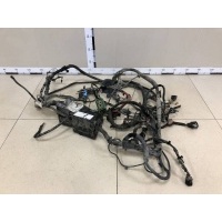 Проводка двс Ford Ford C-MAX 2003-2010 1466747