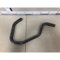 Петля крышки багажника Renault Renault Logan (2) 2014> 904005571R