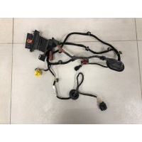 Проводка двери Volkswagen Volkswagen Passat B6 2005-2010 3C1971121CN