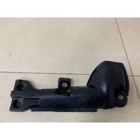 Пыльник (кузов наружные) Renault Renault Logan (1) 2005-2014 8200372693