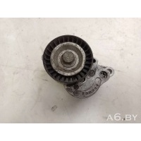 Ролик натяжителя Renault Latitude 2010 T38311