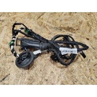 Проводка двери задней правой Volkswagen Passat B8 2022 3G0971694H
