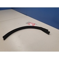 Уплотнитель двери задней левой Toyota C-HR GX10 GX50 2016- 75696F4010