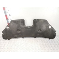 Шумоизоляция капота Ford C-MAX 1 (2003-2010) 2003 ,1420433