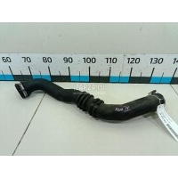 Патрубок интеркулера Ford S-MAX (2006 - 2015) 1468764