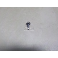 Болт Renault Koleos (HY) (2008 - 2016) 7703002658