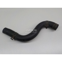 Патрубок радиатора Hyundai-Kia Sorento II (2009 - 2020) 254122P000