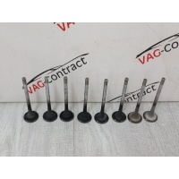 Клапан выпускной Volkswagen Passat B6 2007 06D109611H
