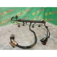 проводка топливной рампы Ford Fiesta купе 1998 1137742