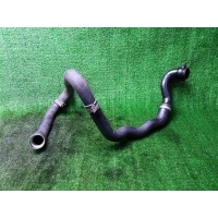 патрубок интеркулера Opel Corsa D (2006-2015) 55559259