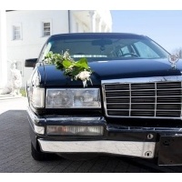 V8 1992 239000 л.с.