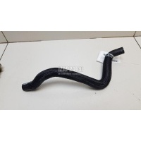 Патрубок Renault Arkana 2019 924005619R