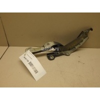 Петля капота левая Hyundai-Kia Carnival 2014 79110A9000