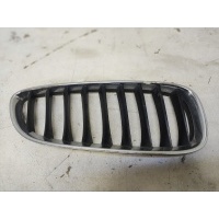 Решетка радиатора BMW Z4 E89 2009-2016 51137191510