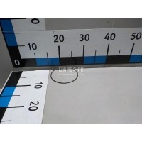 Кольцо стопорное VAG Octavia (A4 1U-) (2000 - 2011) 055141130F