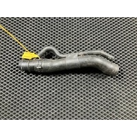 Патрубок (трубопровод, шланг) Volkswagen Passat B7 2012 5C0122101S