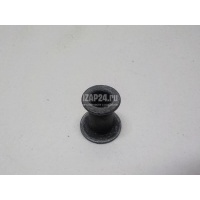 Втулка (двигатель) VAG A6 [C6,4F] (2004 - 2011) 057103831B