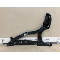 Петля крышки багажника Audi Audi A8 (D3, 4E) 2002-2010 4E0827299C, 4E0827299D