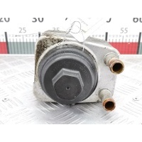 Теплообменник Volkswagen Passat 6 (2005-2010) 2009 ,038117021E