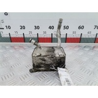 Теплообменник Audi A6 C6 (2004-2011) 2005 079117021M,079117021M
