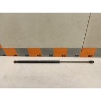 Амортизатор багажника Hyundai Matrix FC 2002 8177017030, 831