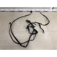 Проводка двери Nissan Nissan Murano (Z50) 2004-2008 24124CB804