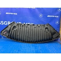 защита бампера Mercedes E 500 w207 2011 A2075240930