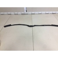 Уплотнитель капота Mitsubishi Mitsubishi Grandis 2003-2009 MR959689