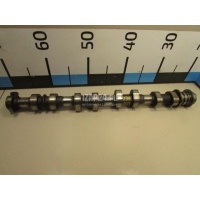Распредвал впускной Toyota Camry V40 (2006 - 2011) 135010V010
