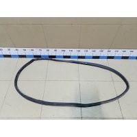 Уплотнитель (внутри) Datsun On-Do 2014> 769235PA0A