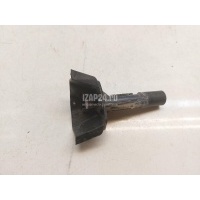 Направляющая (кузов наружные) VAG Passat CC (2008 - 2017) 3C8810899B