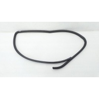 Уплотнитель проема двери Toyota Camry 40 2006 6231133070B0, 6231133070
