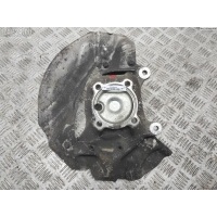 Кулак (корпус ступицы) передний левый BMW 7 E65/E66 (2001-2008) 2002 31216753461