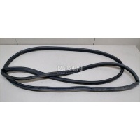 Уплотнитель двери Ford Focus III (2011 - 2019) 1728576