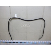Уплотнитель двери Ford Focus III (2011 - 2019) 1750005