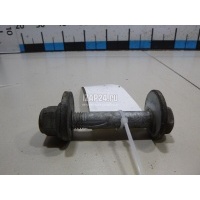 Болт развала задних колес Land Rover Range Rover Evoque (2011 - 2018) LR001126
