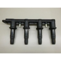 Рампа (кассета) катушек зажигания GM Aveo (T300) (2011 - 2015) 55584404